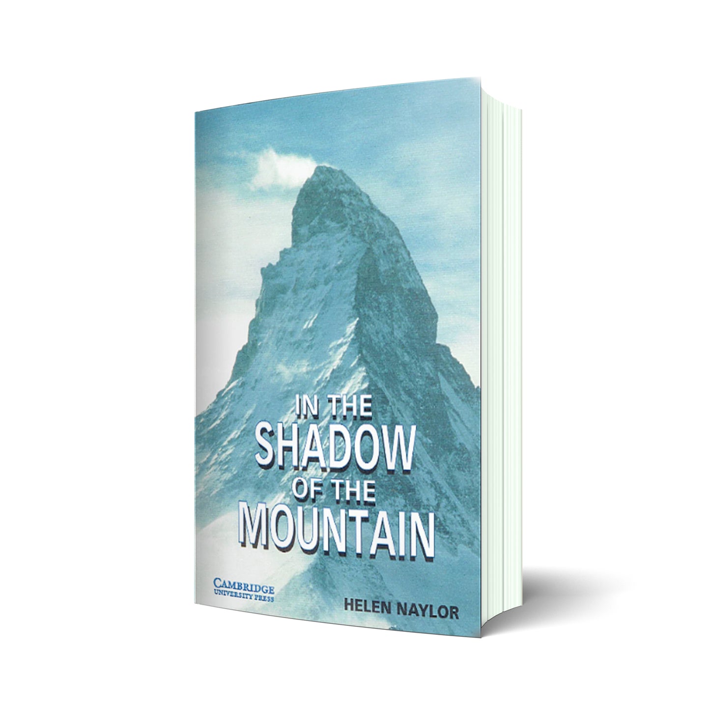 In the shadow of the mountain