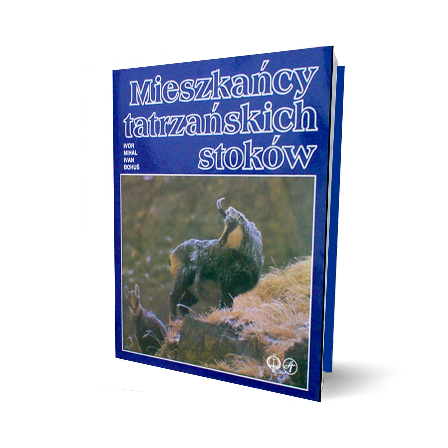 Mieszkańcy tatrzańskich stoków