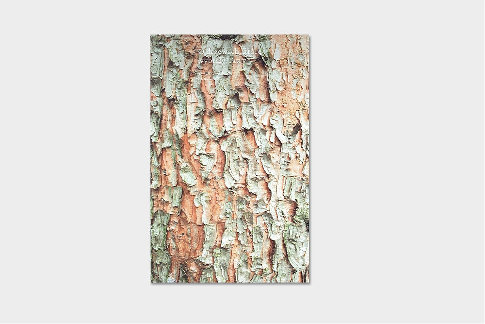 O drzewach, które wybrały Tatry (okładka ŚWIERK)