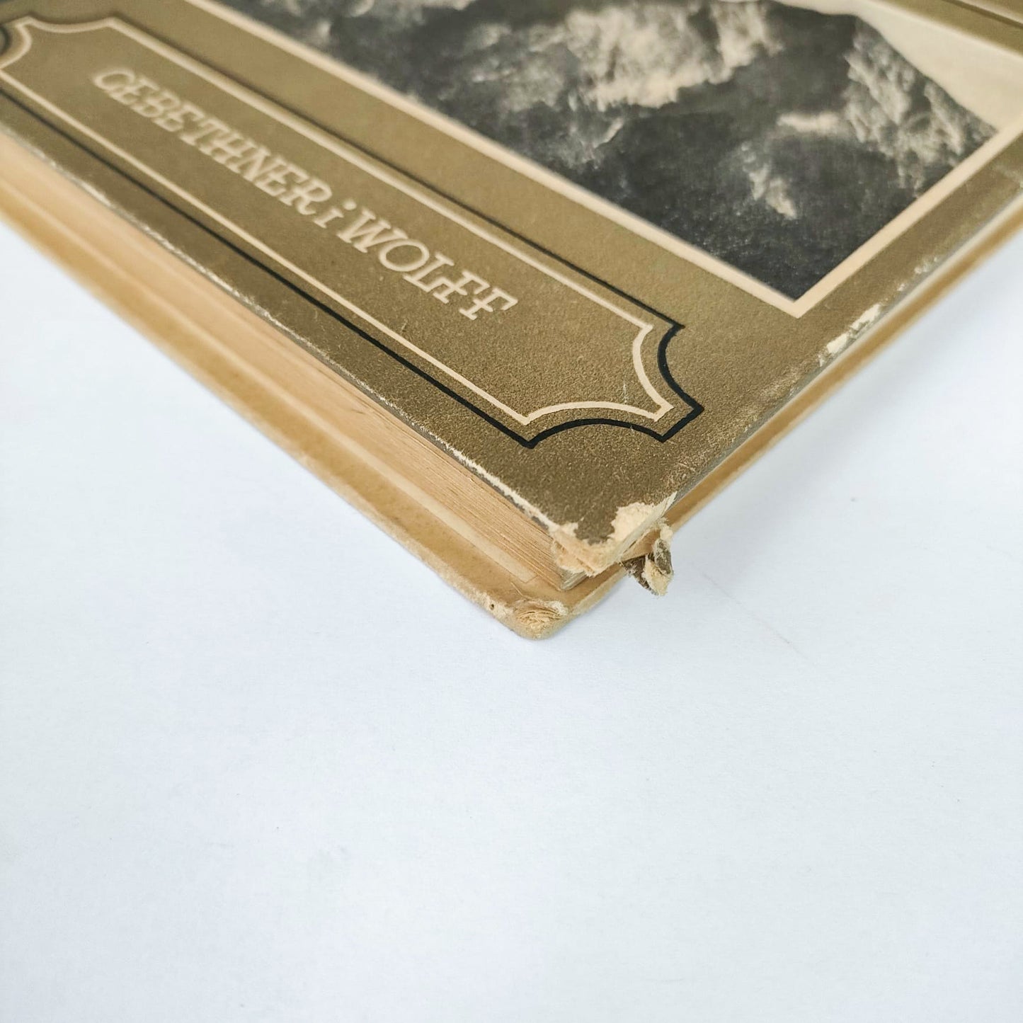 Koleba na hliniku (Przygody w Tatrach)