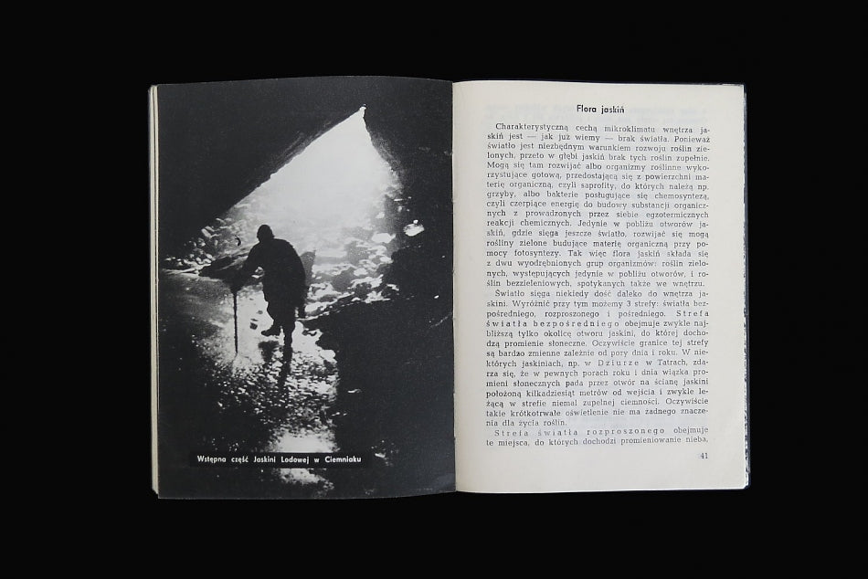 Jaskinie Polskie (Przyroda Polska)