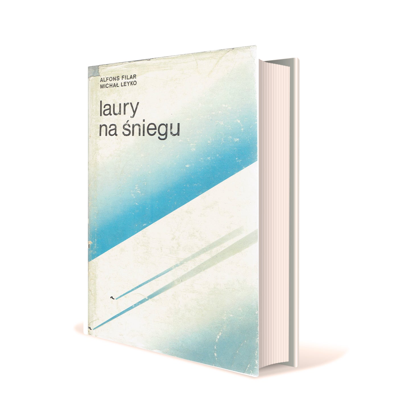 Laury na śniegu