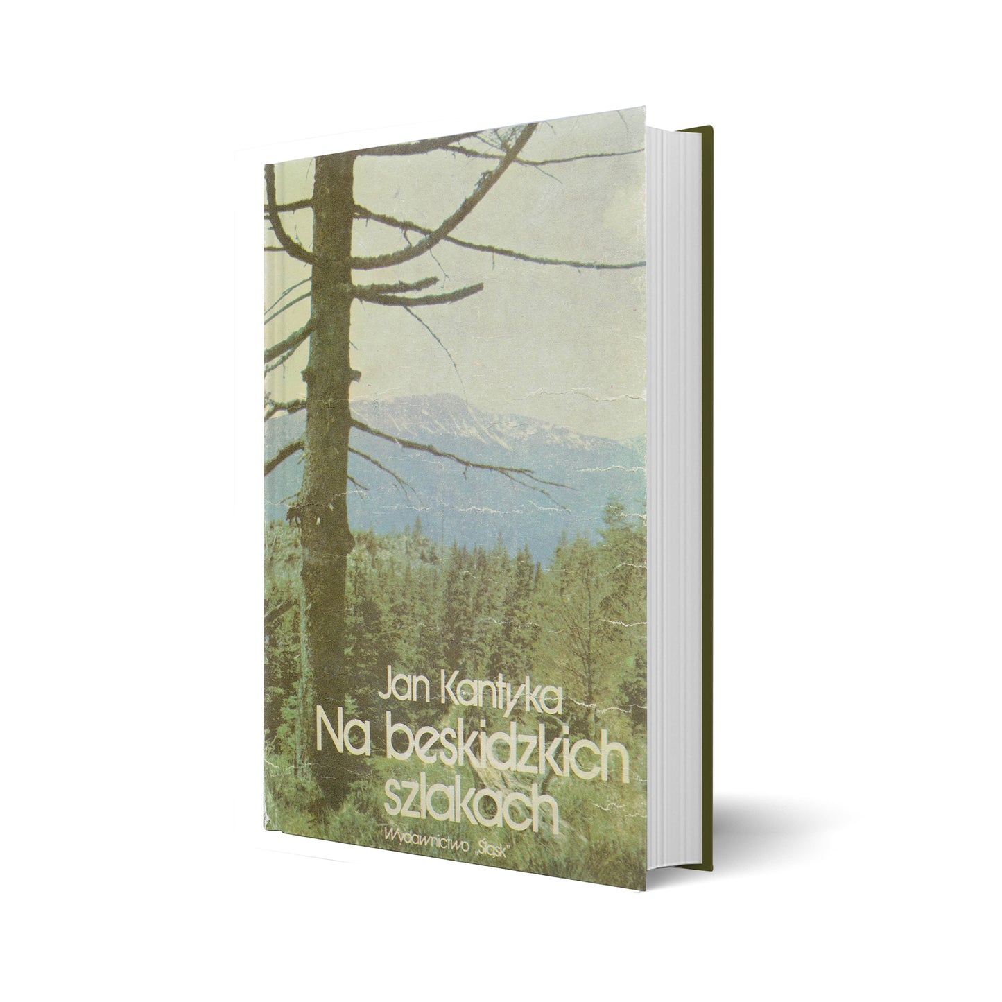 Na beskidzkich szlakach