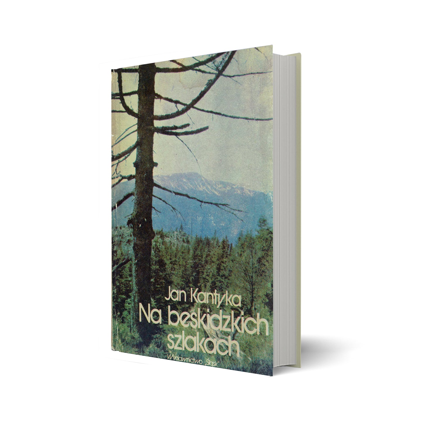 Na beskidzkich szlakach