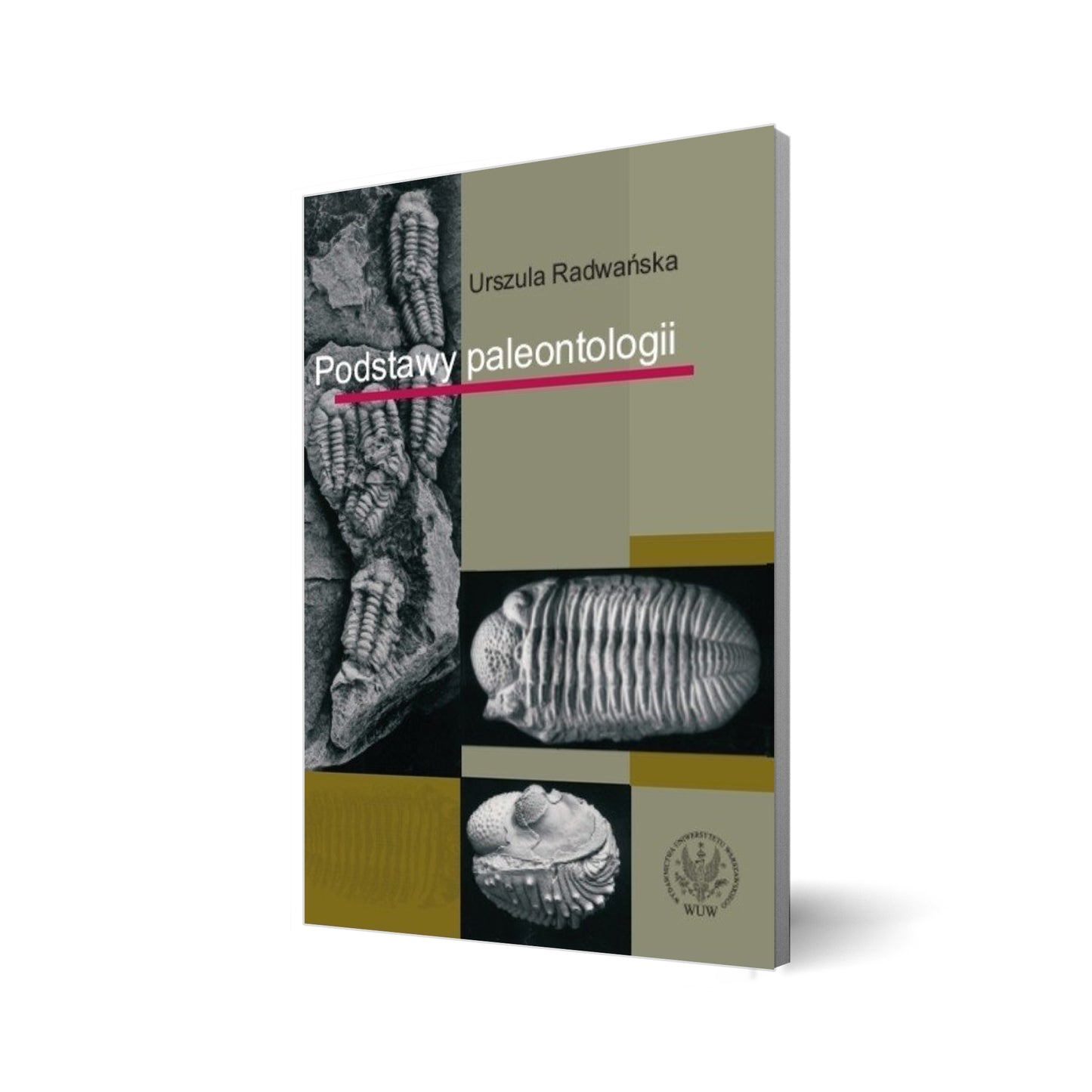 Podstawy paleontologii