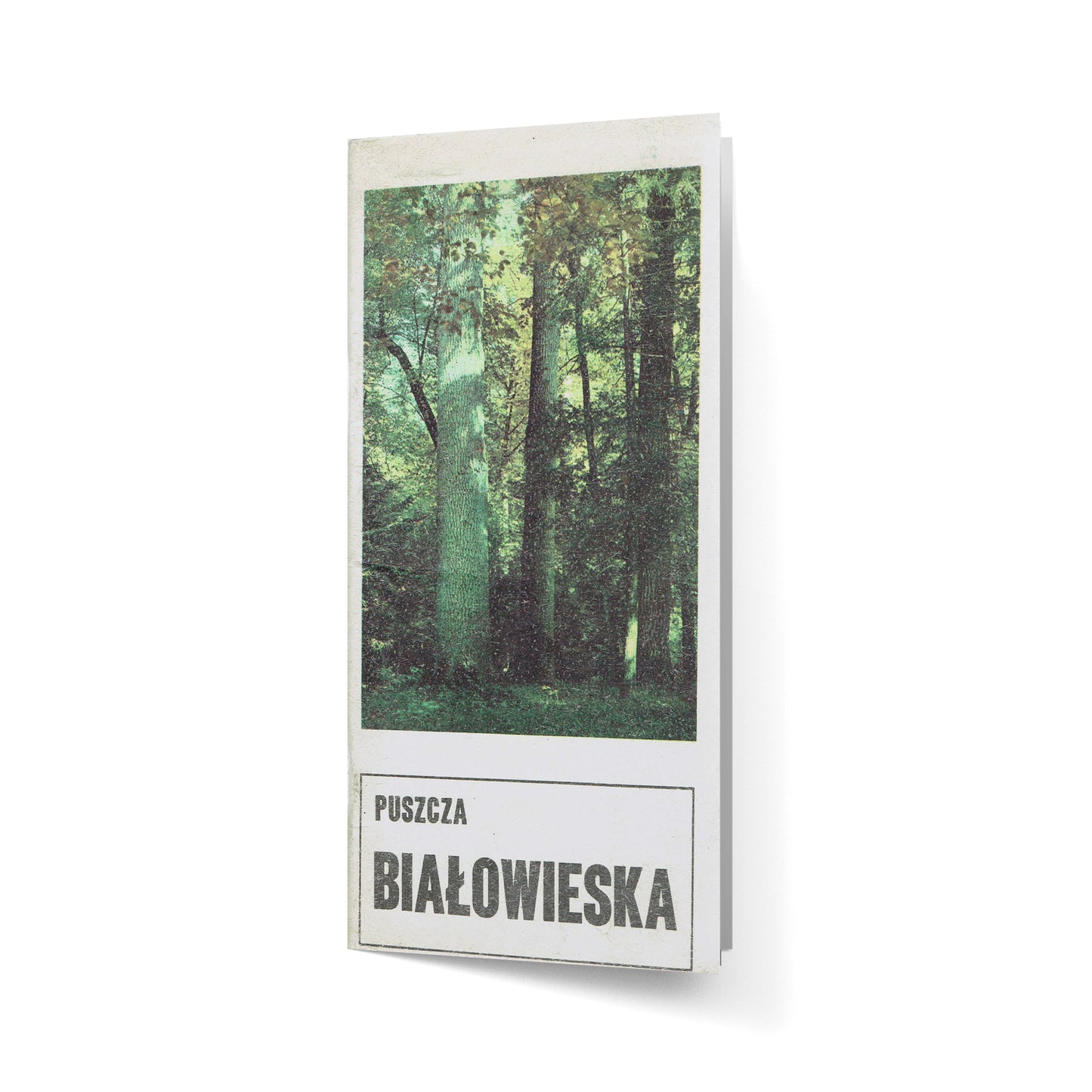 Puszcza Białowieska