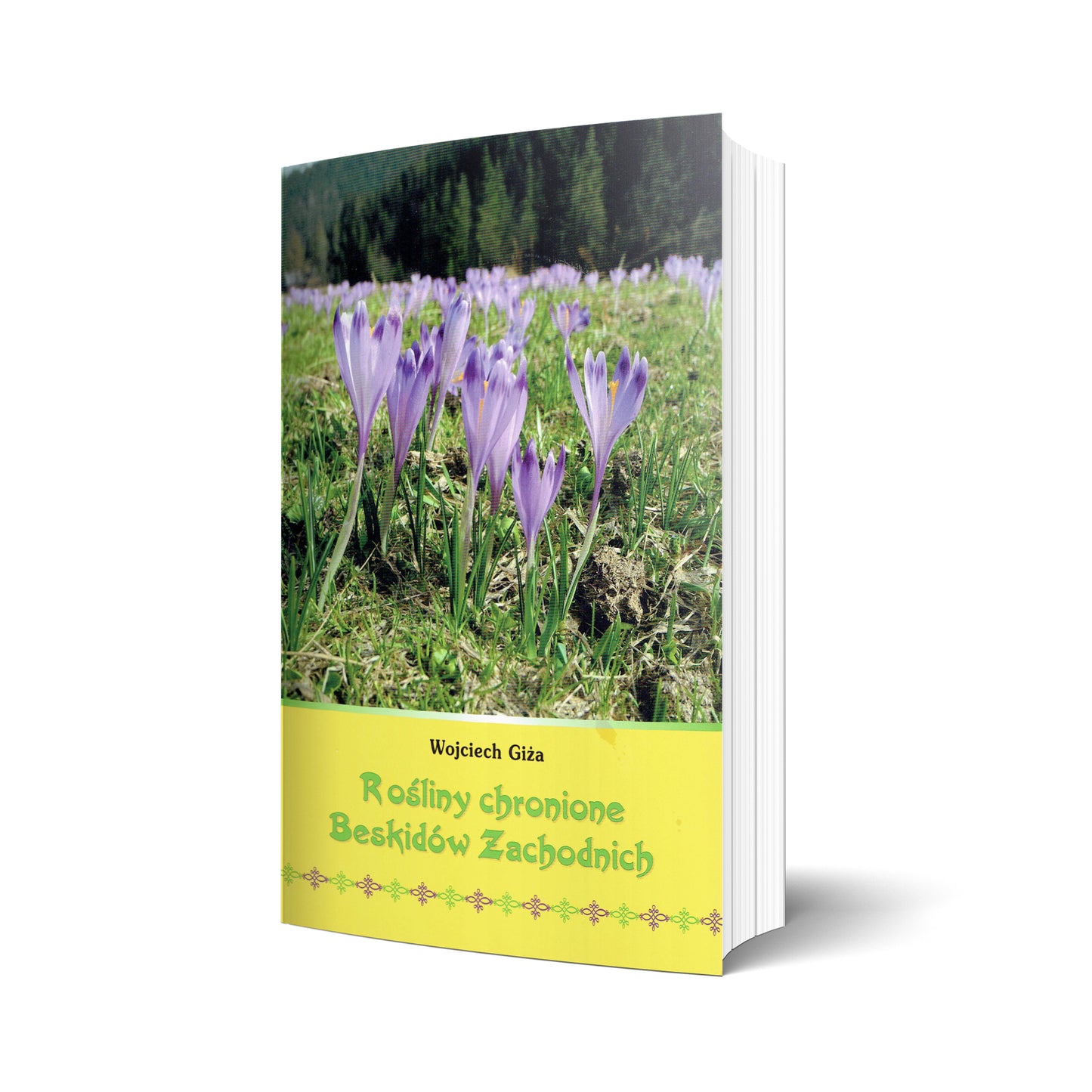 Rośliny chronione Beskidów Zachodnich