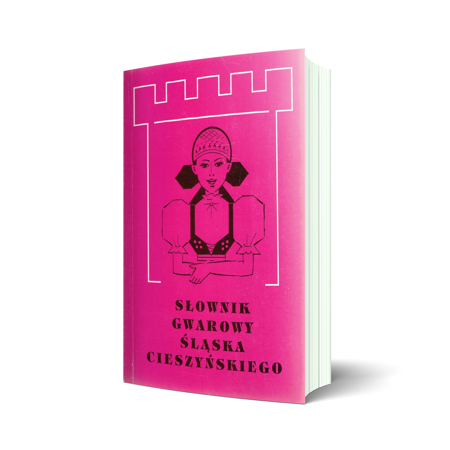 Słownik gwarowy Śląska Cieszyńskiego