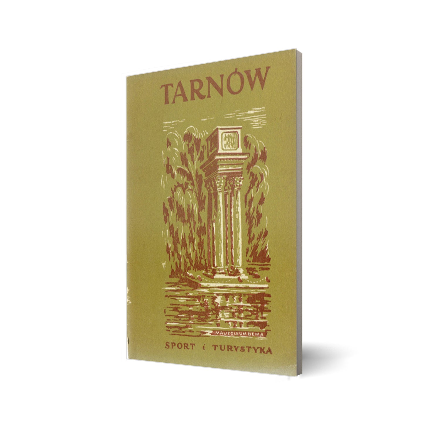 Tarnów i najbliższa okolica