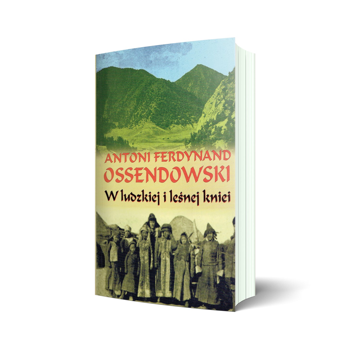 W ludzkiej i leśnej kniei