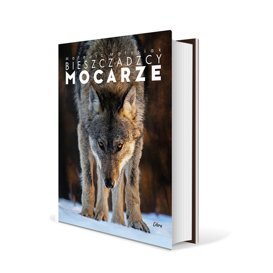 Bieszczadzcy Mocarze