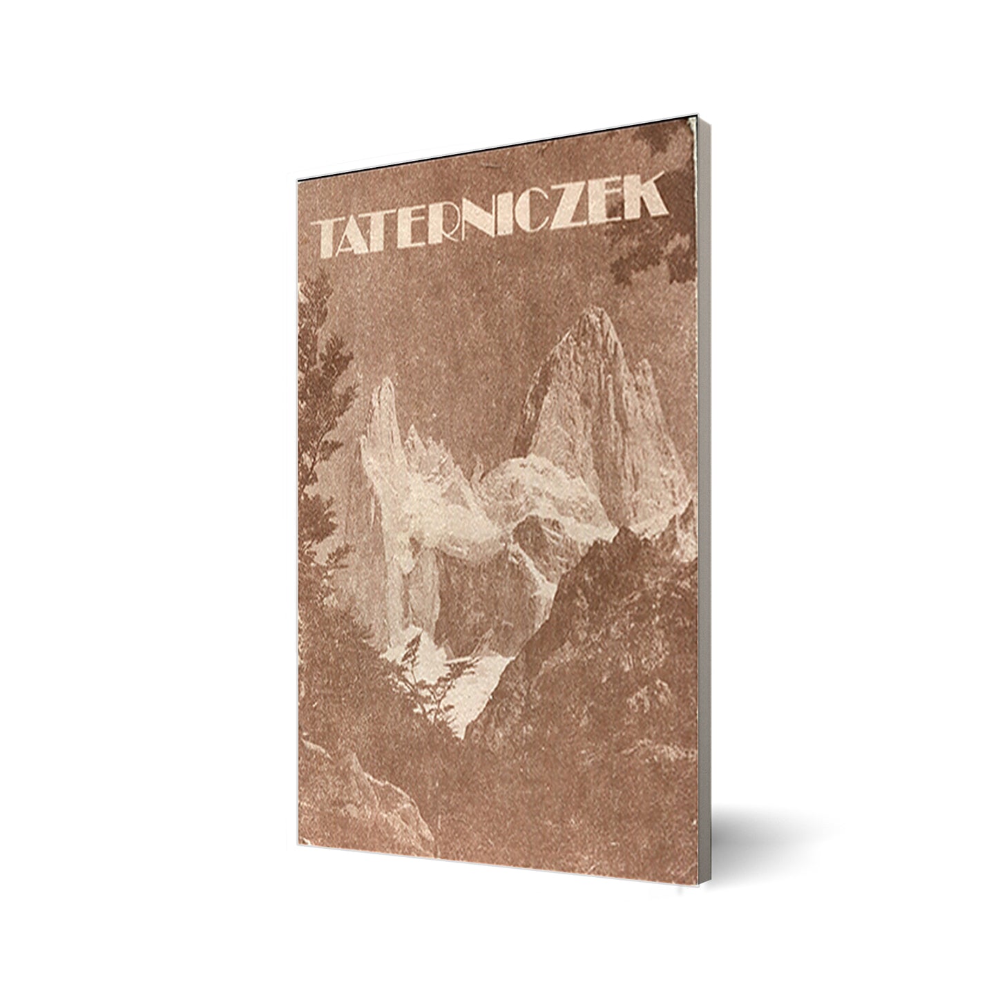 Taterniczek nr 2 rok 1985