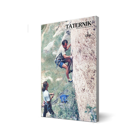 Taternik 1999/1