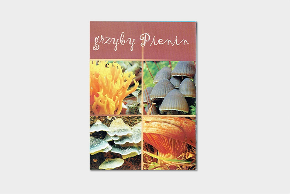 Grzyby Pienin - folder