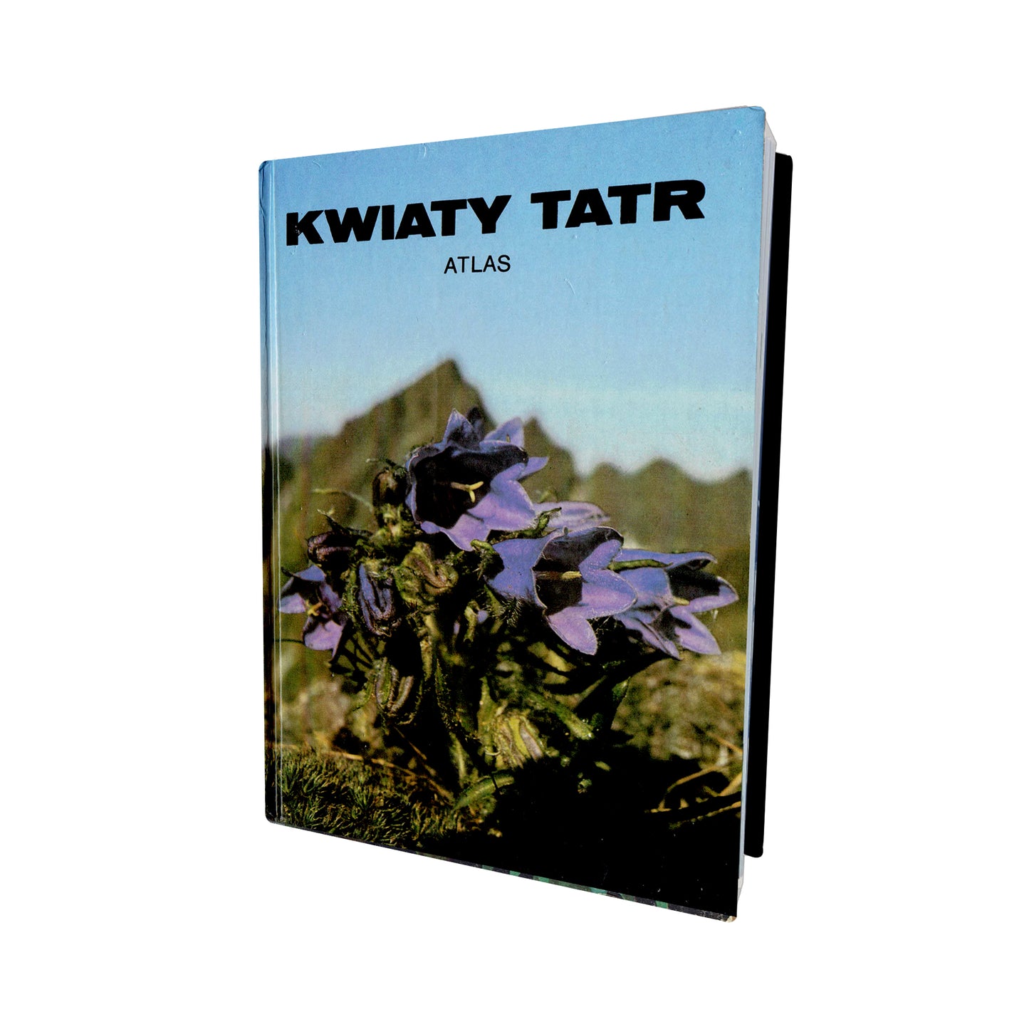 Kwiaty Tatr