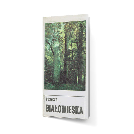 Puszcza Białowieska