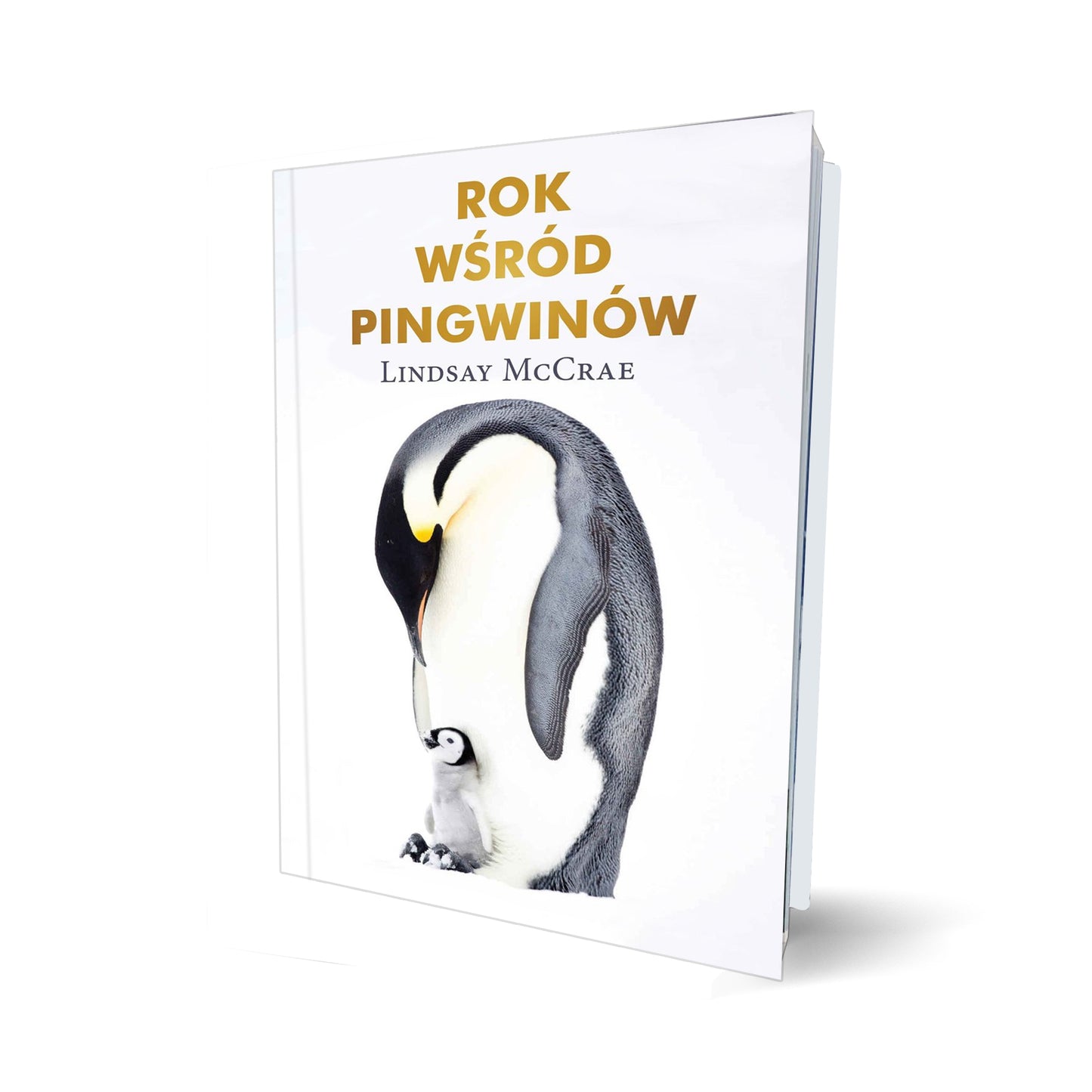 Rok wśród pingwinów