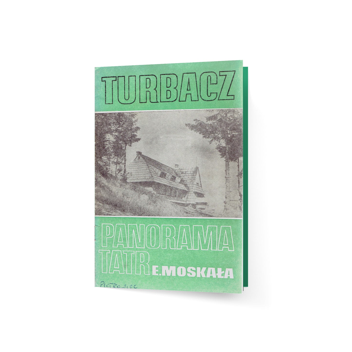 Turbacz - panorama Tatr